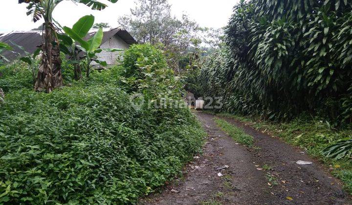 Tanah petak ruang usaha ternak ayam di Bogor 2