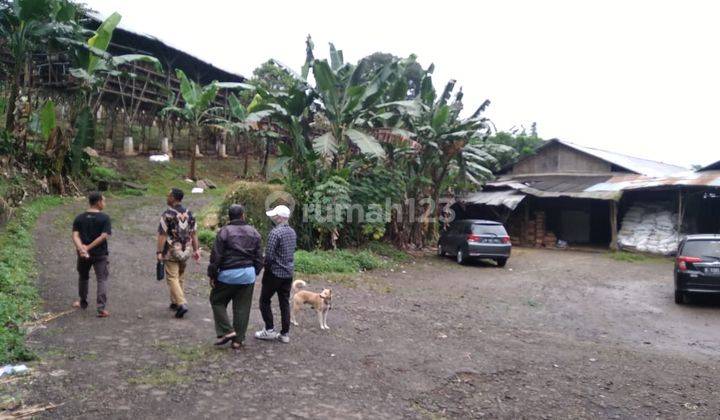 Tanah petak ruang usaha ternak ayam di Bogor 1