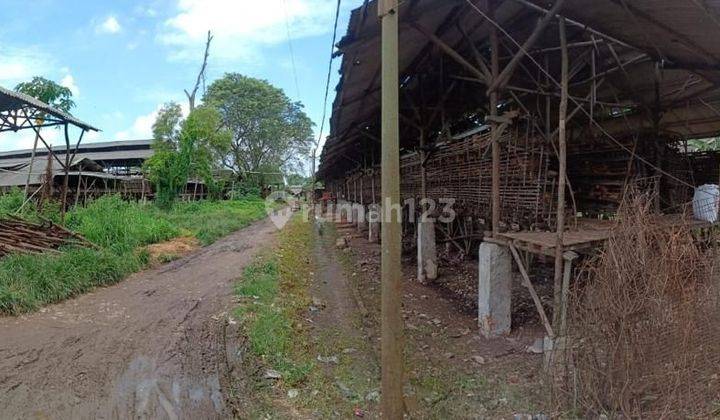 Tanah dan ruang usaha peternakan ayam 2