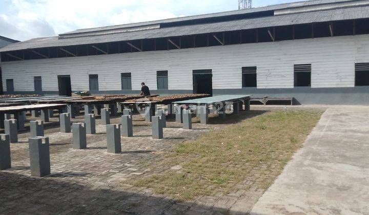 Dijual Ex Pabrik diTegal Alur 3300 m HGB akses kontainer zona Gudang/Industri 8
