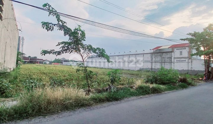 Tanah Sawah Zona Kuning Area Perumahan Do Grogol Tanah Sawah Zona Kuning Area Perumahan Do Grogol