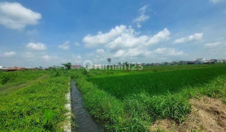 Tanah Kavling Murah Di Gedongan Colomadu Dekat Exit Tol M² 2