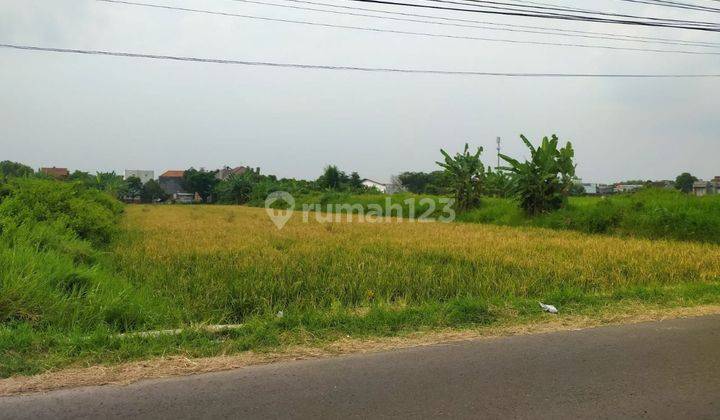 Tanah Strategis dekat Jalan Adi Sucipto Colomadu 2