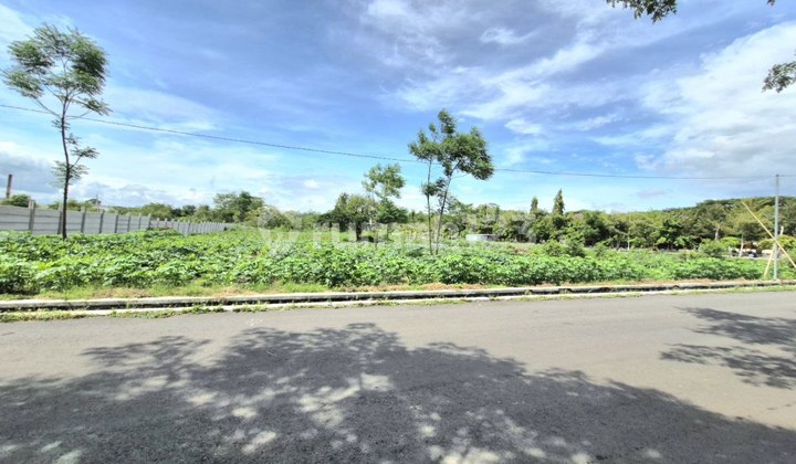 Red Zone Land in the Boyolali Industrial Area