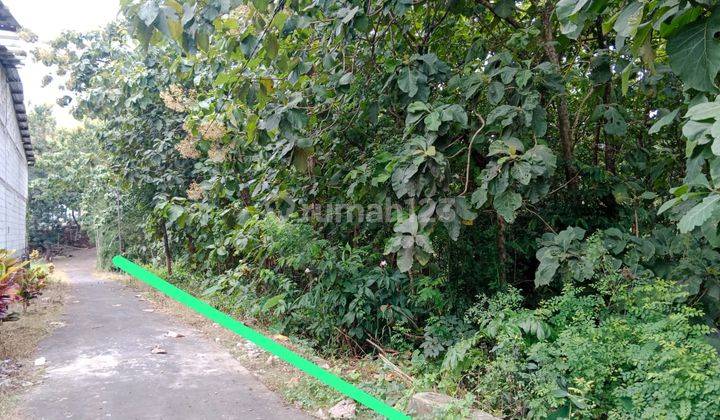 Tanah Perkarangan Deket Jalan Raya Tegal Gede 1
