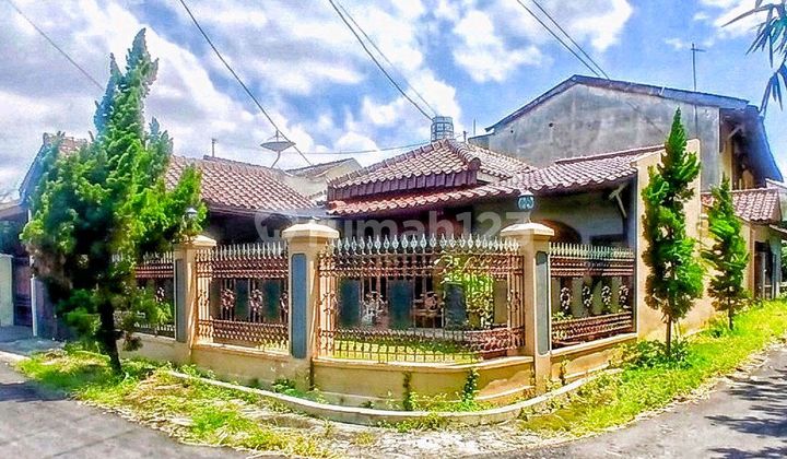 Hook House in the Elite Housing Environment of Solo City 2