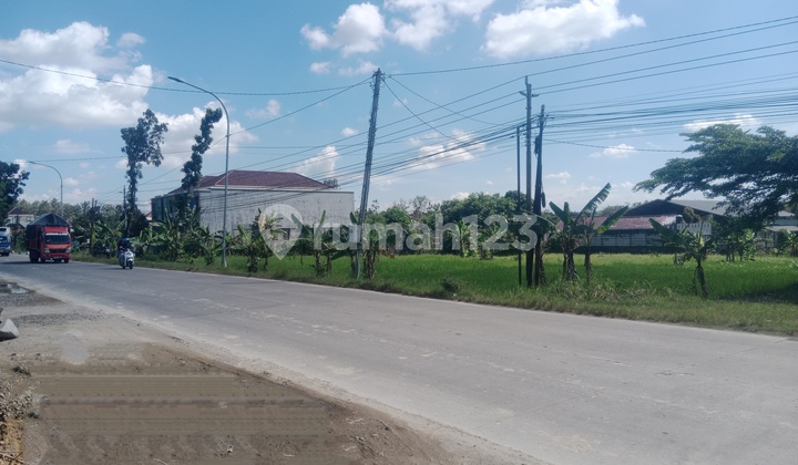 Tanah Perkarangan Strategis Mangku Jalan Pro Tanah Perkarangan Strategis Mangku Jalan Pro