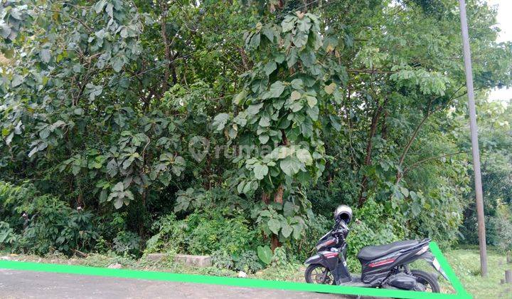 Tanah Perkarangan Deket Jalan Raya Tegal Gede 2