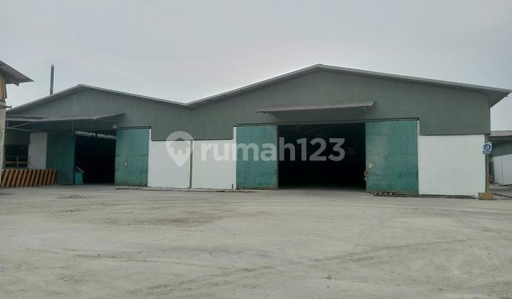 For Rent Fast Warehouse Jatake Area 1.7 Ha Ready to Use Access for 40" Container