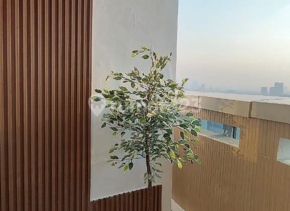 Apartment The Springhill Bagus Furnished 1 BR 2