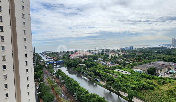 Apartemen Mediterania Marina Residence 2Br Full Furnished 2