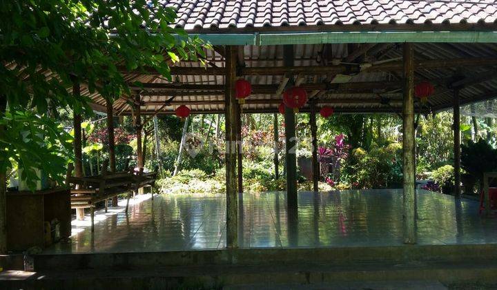 Dijual Tanah berikut Villa Cantik di Tenjo 5