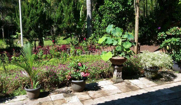 Dijual Tanah berikut Villa Cantik di Tenjo 6