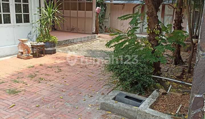 Rumah Vintage Legendaris, Area Tenang, Asri, Banyak Pepohonan, Halaman Luas, Tidak Pernah Ada Banjir, di Menteng, Jakarta Pusat 2