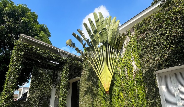 House for Sale and Rent Semi Furnished SHM - Certificate of Ownership 2