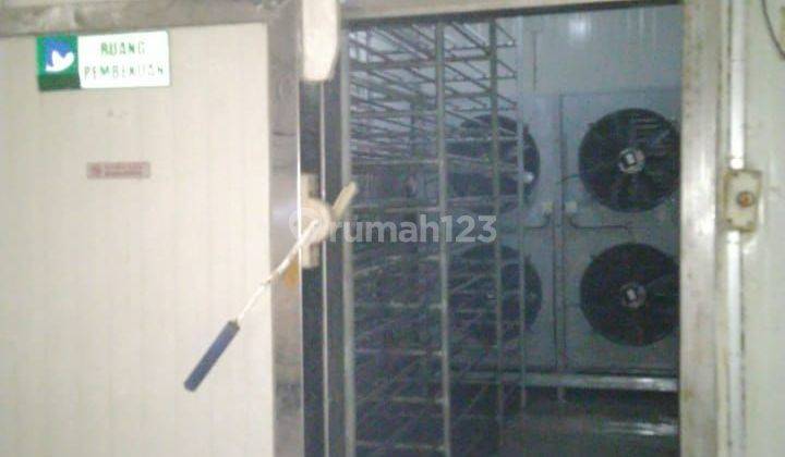 DIJUAL COLD STORAGE GUDANG PENDINGIN DI KALIMANTAN LT 800 M2 RP. 5 Milyar 1