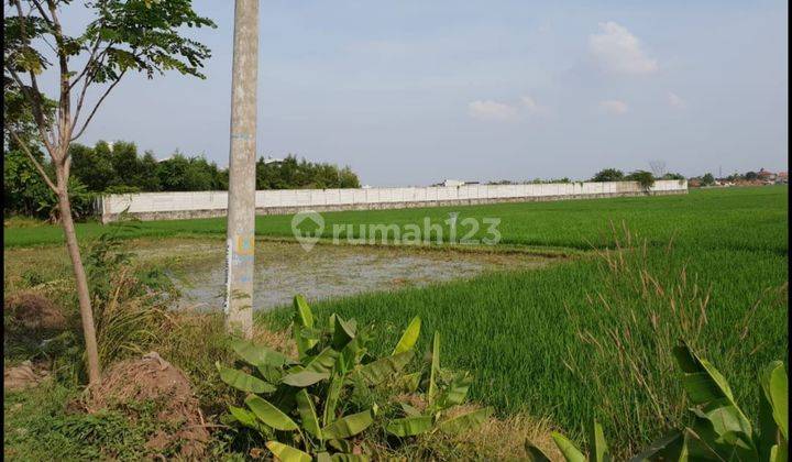 Dijual tanah strategis komersial Cocok buat RS dll depan jalan raya, 5.7 HA Karawang Barat   1