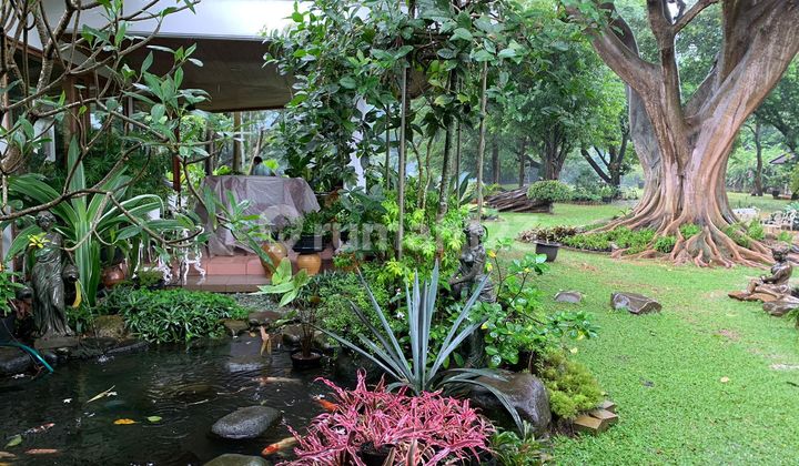 House with Very Large Land, Serene and Comfortable Like a Villa, Strategic Location, High Investment Value, Below Market Price House with Very Large Land, Serene and Comfortable Like a Villa, Strategic Location, High Investment Value, Below Market Price