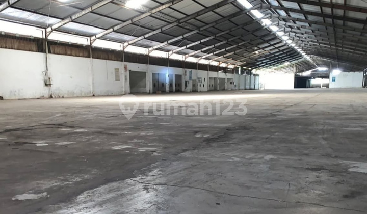 Super Spacious Warehouse Factory Sayung Central Java Demak Semarang Tanjung Emas Port SHM Super Spacious Warehouse Factory Sayung Central Java Demak Semarang Tanjung Emas Port SHM