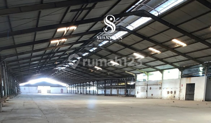 Super Spacious Warehouse Factory Sayung Central Java Demak Semarang Tanjung Emas Port SHM Super Spacious Warehouse Factory Sayung Central Java Demak Semarang Tanjung Emas Port SHM