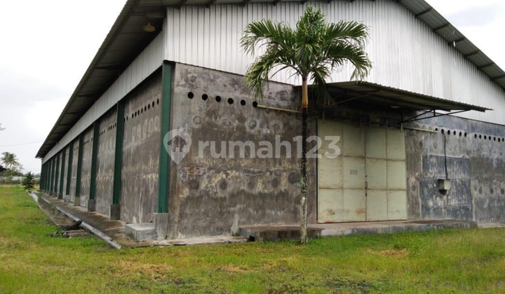 For Rent: Spacious 6360m2 Warehouse in Srono, Banyuwangi, on the Main Cross-City Highway.