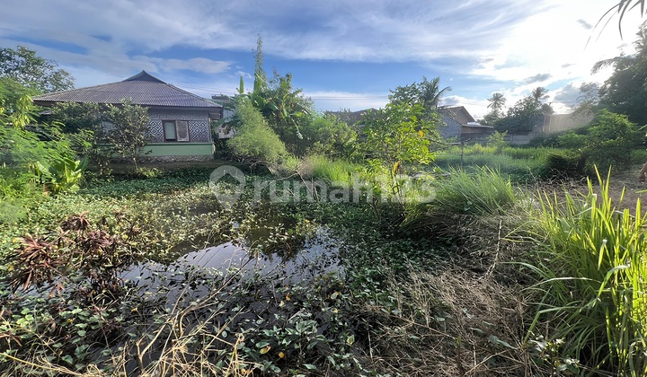 Tanah Kolam 5000 m2 Resto dan Pemancingan di Fajar Baru