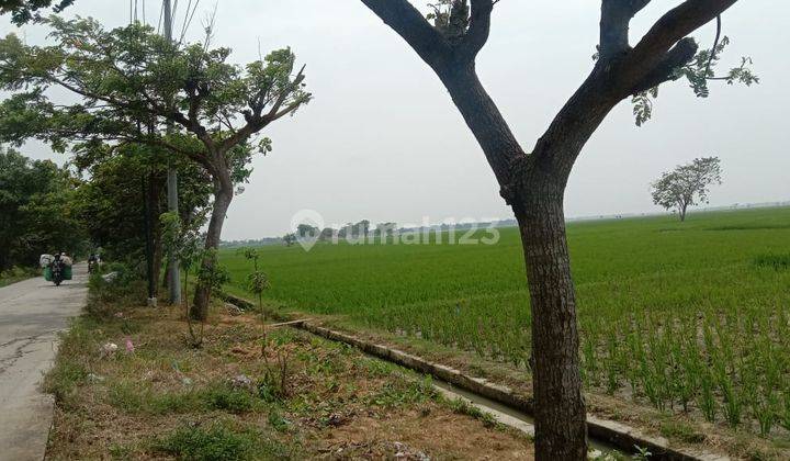 Dijual Cepat Tanah Untuk Perumahan Di Bekasi 2