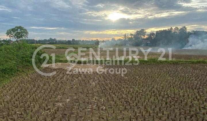 Tanah Padat Area Pesawahan Lokasi Strategis Di Legok Tangerang