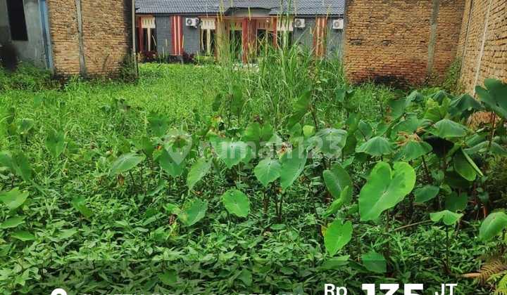 Tanah SHM Jl. Setia Indah, Gg. Berkah, 5 Menit Dari Pdam Sunggal