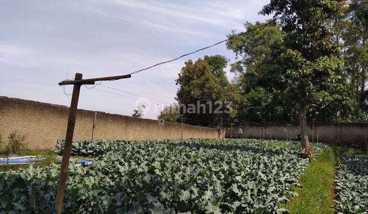 Dijual Tanah Luas Plus Bangunan Rumah di Parongpong Bandung 2
