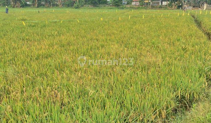 Dijual Tanah Luas Cocok Untuk Cluster di Ciwastra Bandung 2
