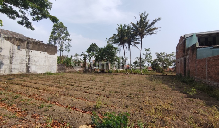 Dijual Tanah Matang Siap Bangun Kawasan Wisata Cipanas Dijual Tanah Matang Siap Bangun Kawasan Wisata Cipanas