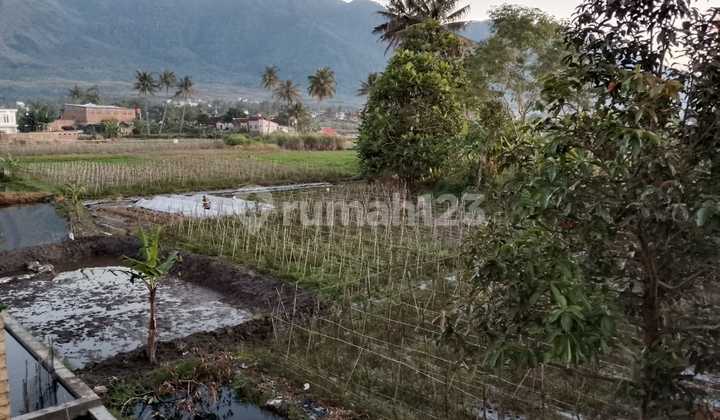 Tanah Matang Siap Bangun 1 Ha Dekat Kawasan Cipanas Harga Terbaik Tanah Matang Siap Bangun 1 Ha Dekat Kawasan Cipanas Harga Terbaik