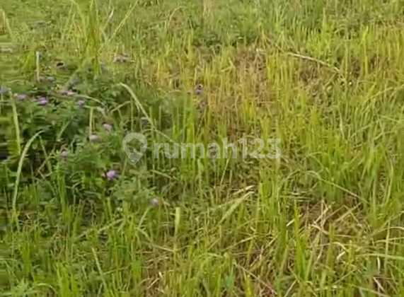 Dijual Tanah Matang Siap Bangun Cilawu Garut Harga Terbaik