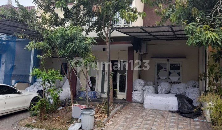 Rumah Royal Park 1 Citraland Surabaya Harga Nego Rumah Royal Park 1 Citraland Surabaya Harga Nego