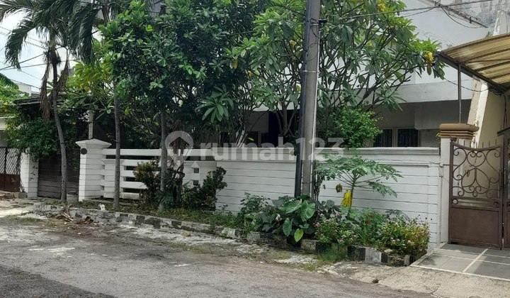 Rumah Kertajaya Indah Timur Surabaya Rumah Kertajaya Indah Timur Surabaya