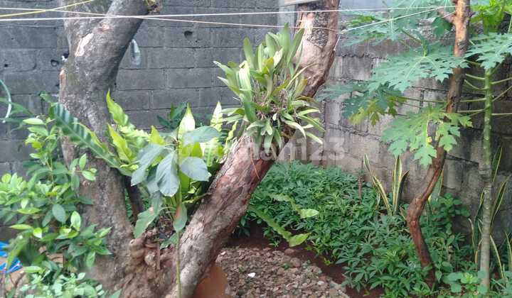Dijual Rumah di Pondok Jaya Depan Kampus Stan Bintaro  5