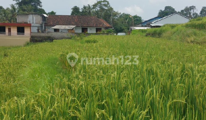 Over Land Contract Ready to Build in Singapadu Ubud Bali Over Land Contract Ready to Build in Singapadu Ubud Bali