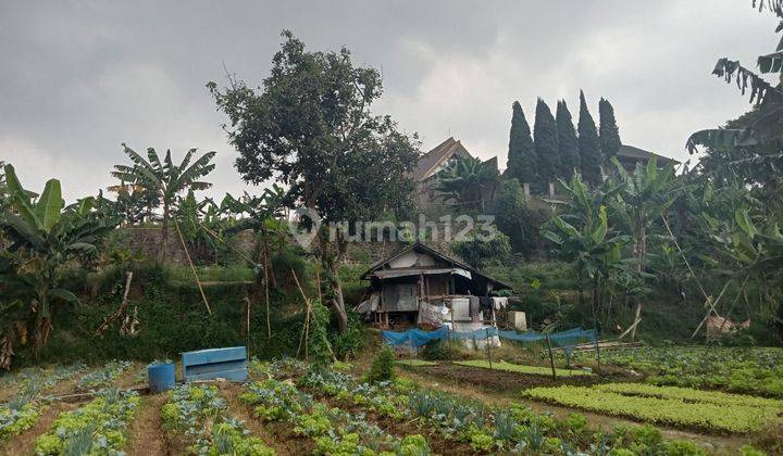 Tanah di Setiabudi Regensi area depan  2