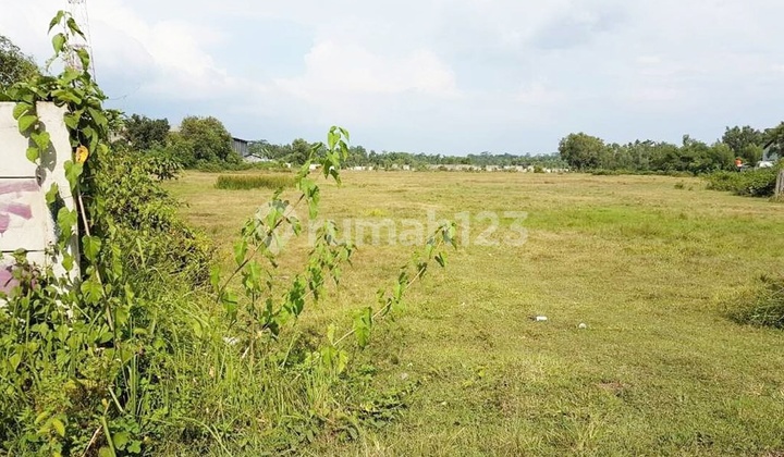Tanah Murah Sudah Shm Akses Container Terletak Di Jalan Raya Rangkas Bitung Cikande Tangerang Tanah Murah Sudah Shm Akses Container Terletak Di Jalan Raya Rangkas Bitung Cikande Tangerang