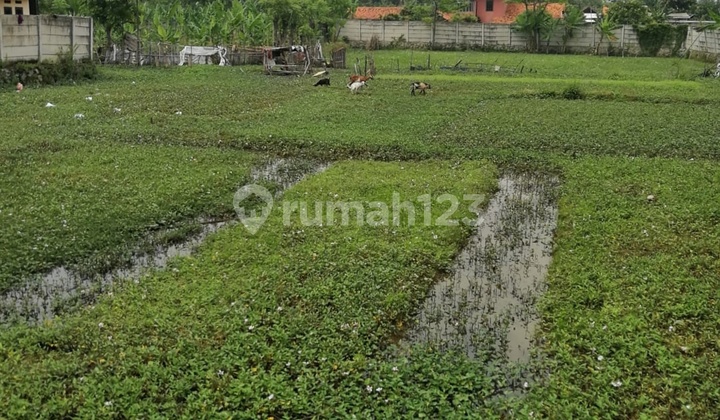 Land with Wide Container Access, SHM Certificate On Hand in Teluk Naga, Tangerang