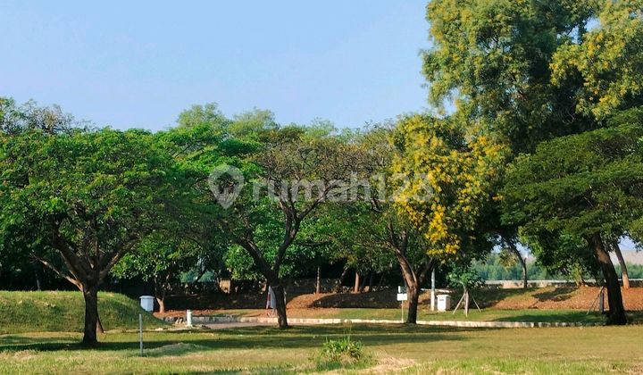 Tanah Hoki Bentuk Ngantong Harga Murah Shm On Hand Di Komplek Perumahan Pantai Mutiara 1