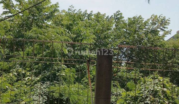 Tanah Strategis Di Pluit Terletak Di Jalan Raya Dekat Mall  1