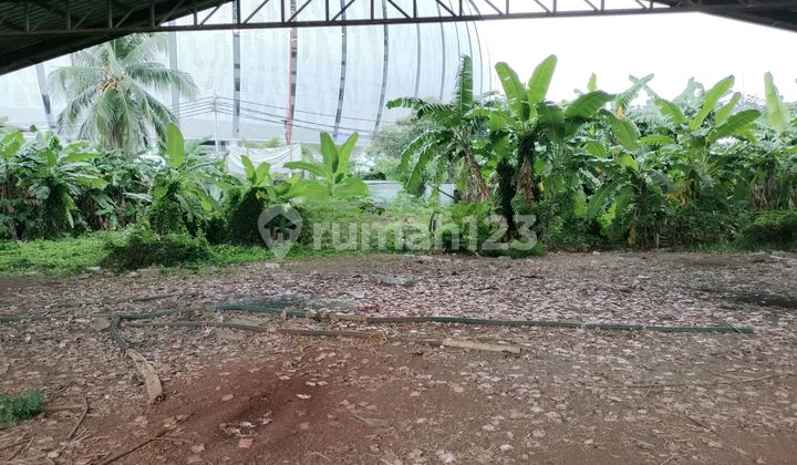 Tanah Strategis Sunter Sudah Ada Bangunan 1.807 Meter Lokasi Dekat Jakarta International Stadium Tanah Strategis Sunter Sudah Ada Bangunan 1.807 Meter Lokasi Dekat Jakarta International Stadium