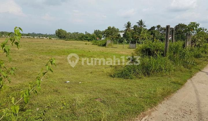 Tanah Murah Sudah Shm Akses Container Terletak Di Jalan Raya Rangkas Bitung Cikande Tangerang Tanah Murah Sudah Shm Akses Container Terletak Di Jalan Raya Rangkas Bitung Cikande Tangerang