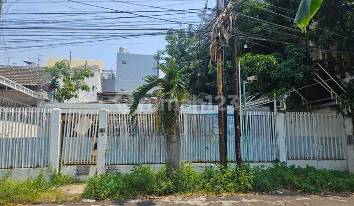 Jual Murah Rumah Tua Hitung Tanah Sudah SHM Hadap Timur Row Jalan Luas Terletak di Pluit Sakti Jual Murah Rumah Tua Hitung Tanah Sudah SHM Hadap Timur Row Jalan Luas Terletak di Pluit Sakti