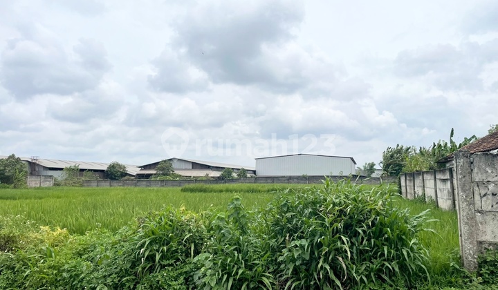 Tanah Ngantong Hoki Sudah SHM Area Industri Akses Container 40 Feet Bentuk Tanah Sudah Padat Terletak di Mekar Jaya Curug Tangerang