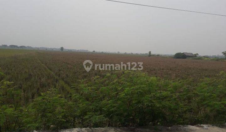 Tanah 119ha SHM Cocok Untuk Perumahan Di Pilar Sukatani Cikarang 1