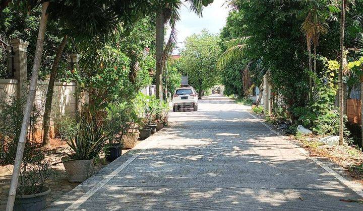 Disewakan Rumah Cocok Gudang Atau Kantor Luas 500m2 di Jakarta  2