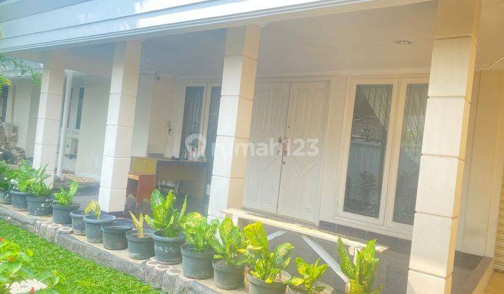 Disewa Rumah 2lt Bagus Luas 500m2 Parkiran Bisa 4 Mobil di Kayu Putih Jaktim 1